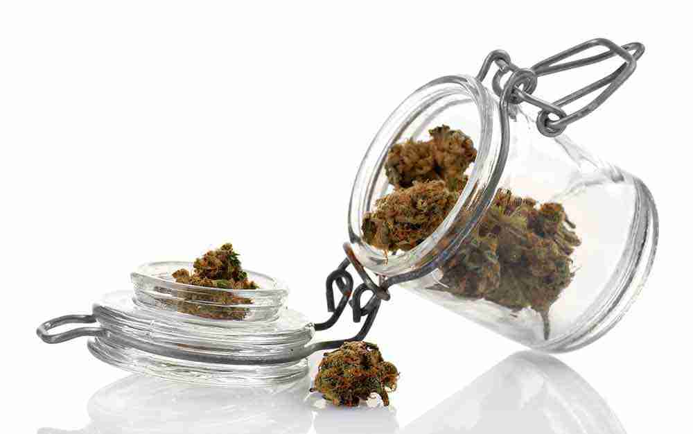Weed Detox - marijuanna cannabis