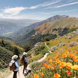 California Los Angeles County